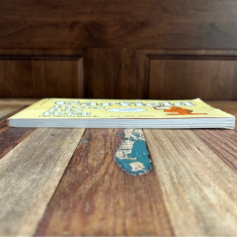 Garfield Paperback - Picture 7 of 7